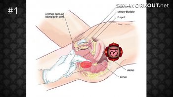 Как правильно лизать письку девушке видео