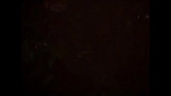 Они с удовольствием лизали друг дружке щелки и получали от этого море удовольствия